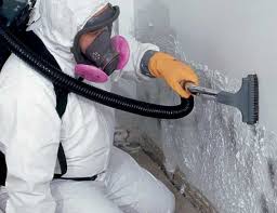 Best Residential Mold Inspection & Testing  in Floydada, TX